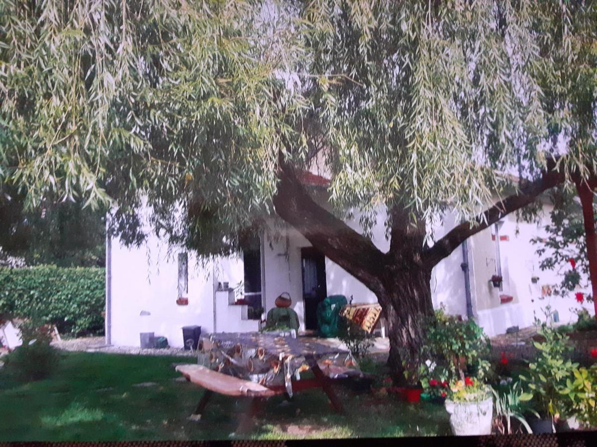 Saint-Seurin-sur-l'Isle Peti Kaz酒店 外观 照片
